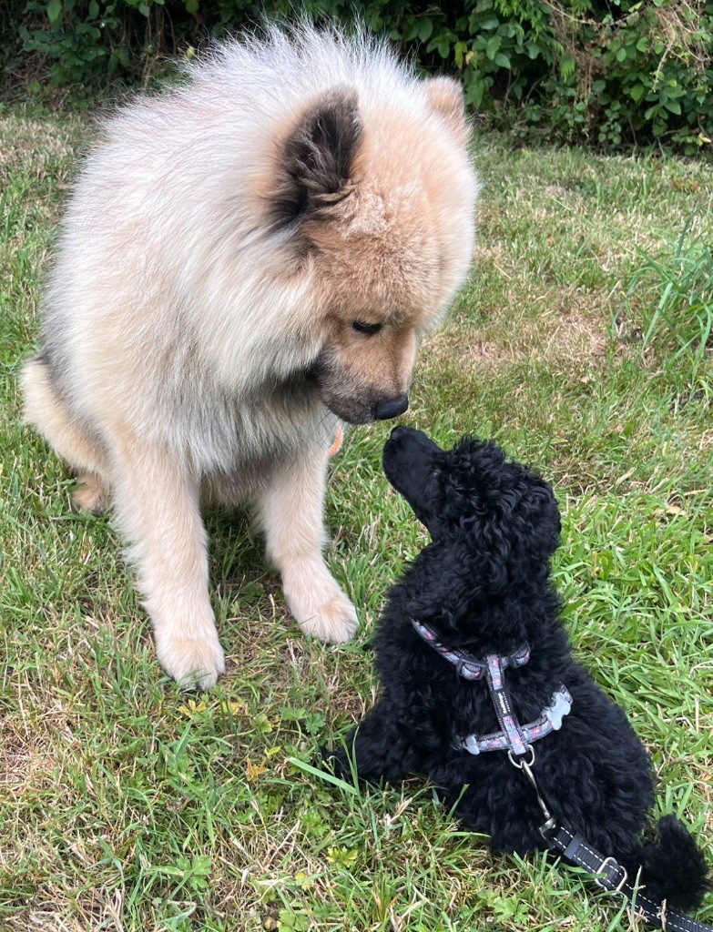 JACKIE-LOU VOUS INVITE À ÉCHANGER AVEC NOUS !